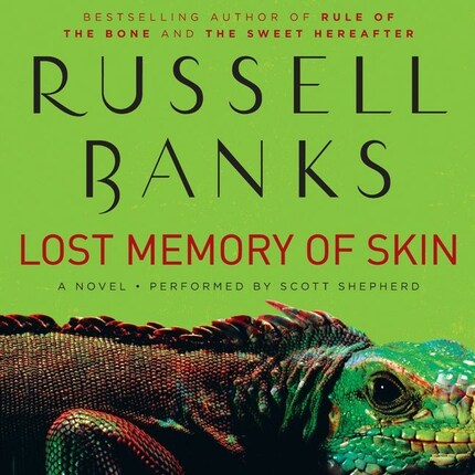 Lost Memory of Skin bookCoverFor