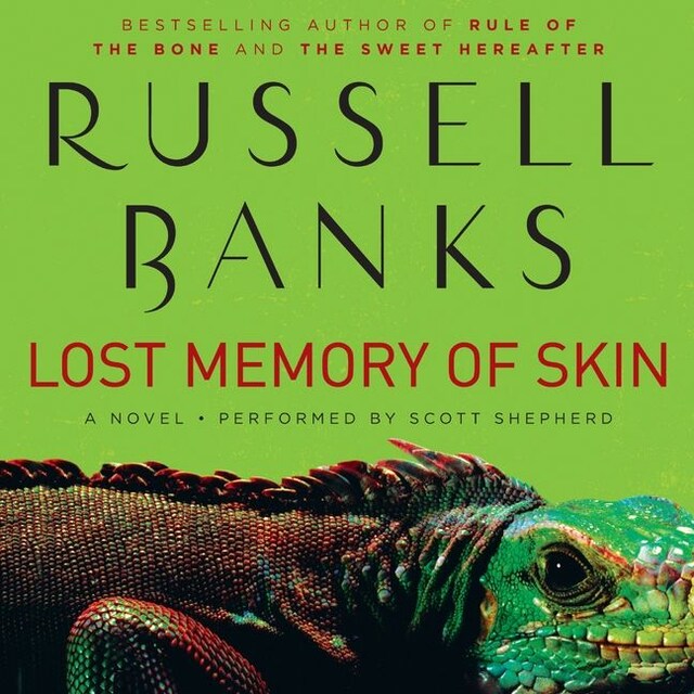 Okładka książki dla Lost Memory of Skin