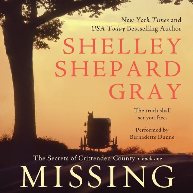 Book cover for Missing