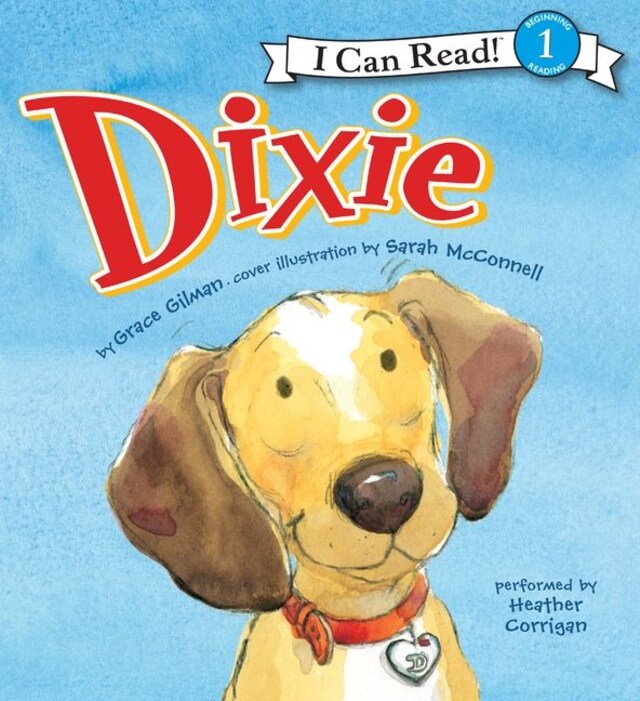 Buchcover für Dixie