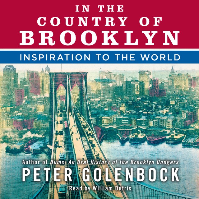 Book cover for In the Country of Brooklyn