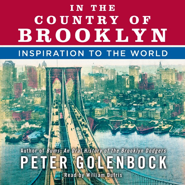 Buchcover für In the Country of Brooklyn