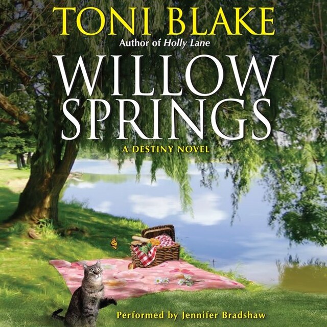 Boekomslag van Willow Springs
