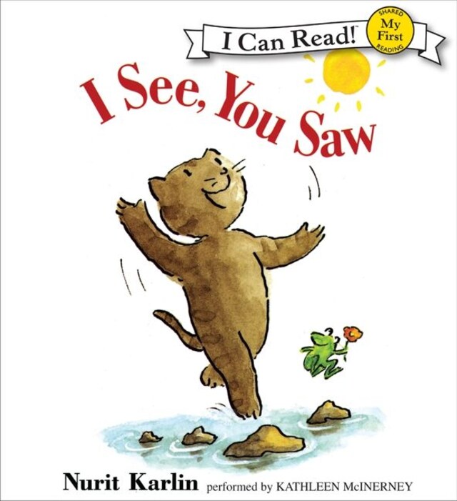 Book cover for I See, You Saw