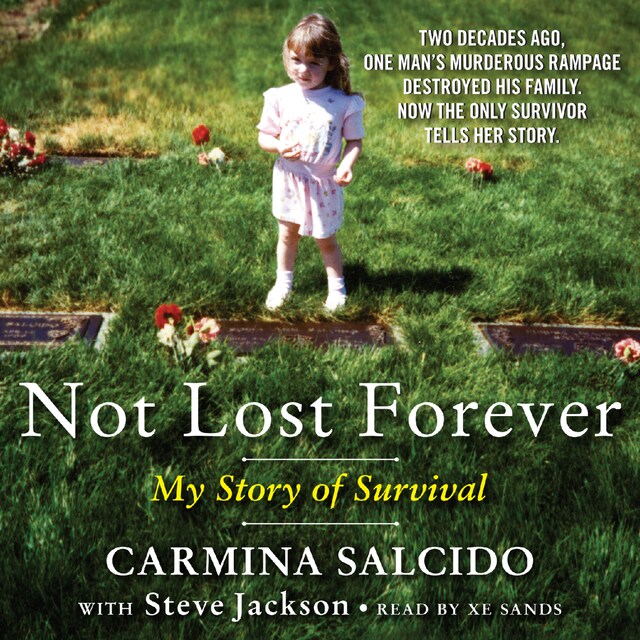 Book cover for Not Lost Forever