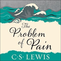 The Problem of Pain