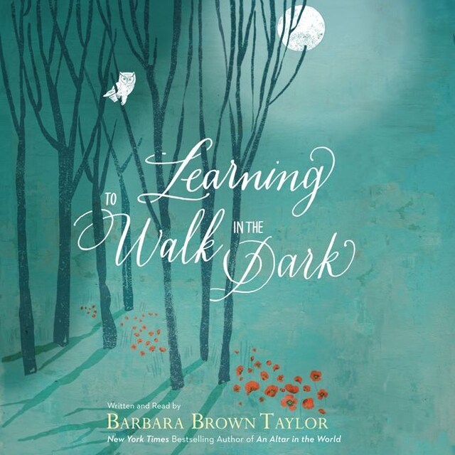 Boekomslag van Learning to Walk in the Dark
