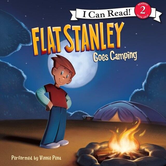 Book cover for Flat Stanley Goes Camping