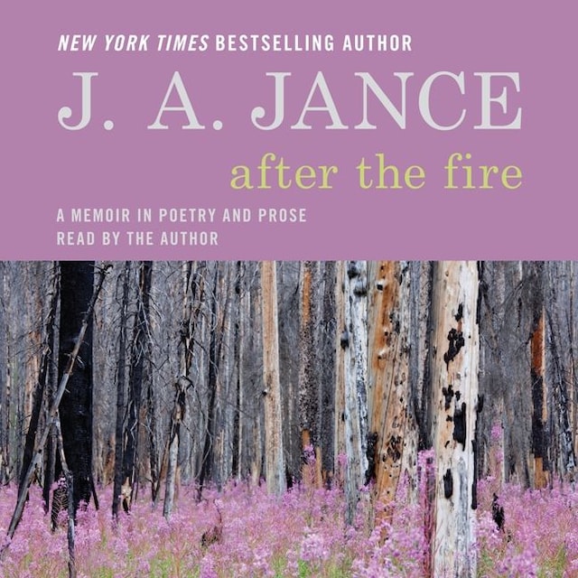 Buchcover für After the Fire