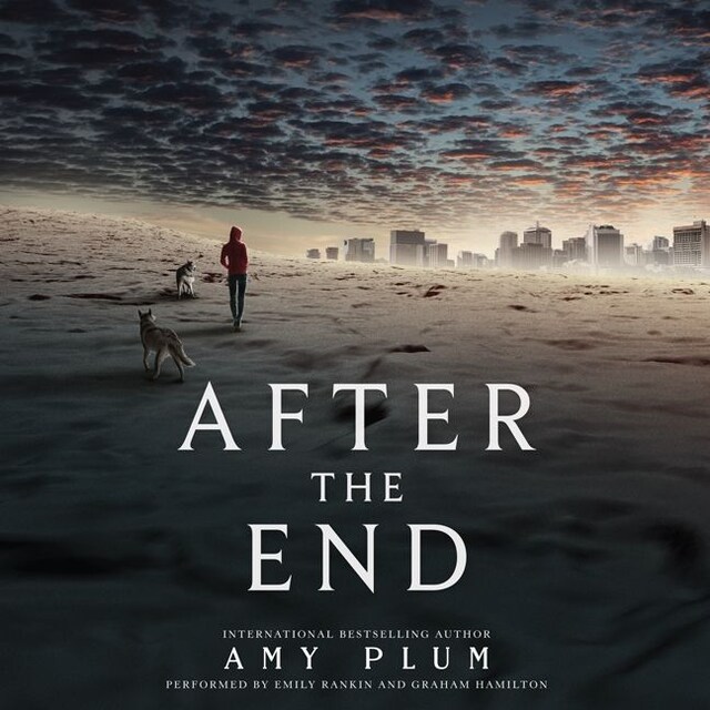 Couverture de livre pour After the End