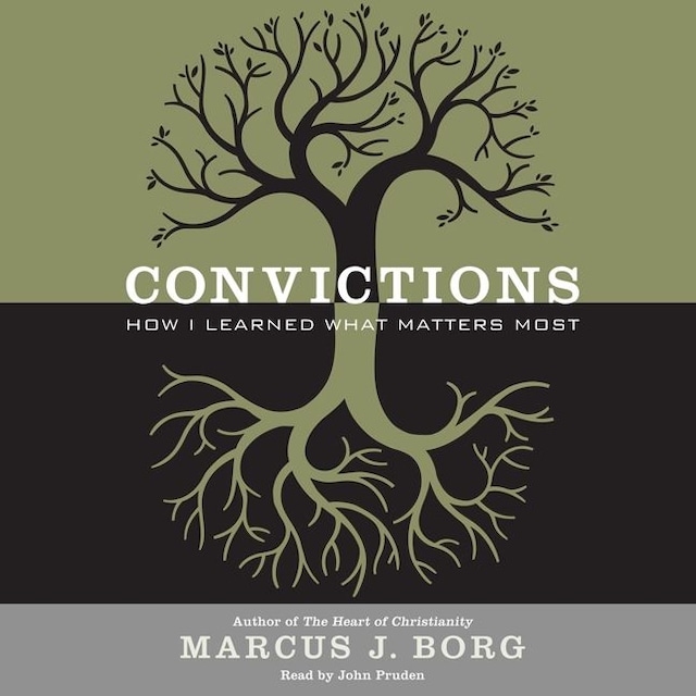 Book cover for Convictions