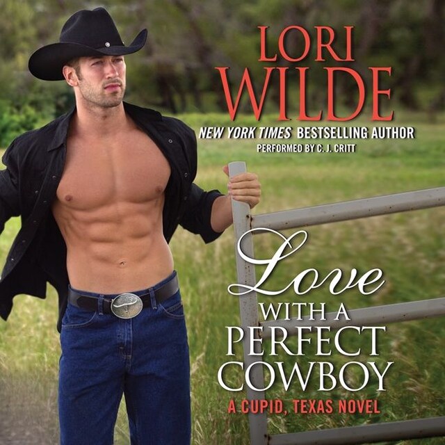 Book cover for Love With a Perfect Cowboy