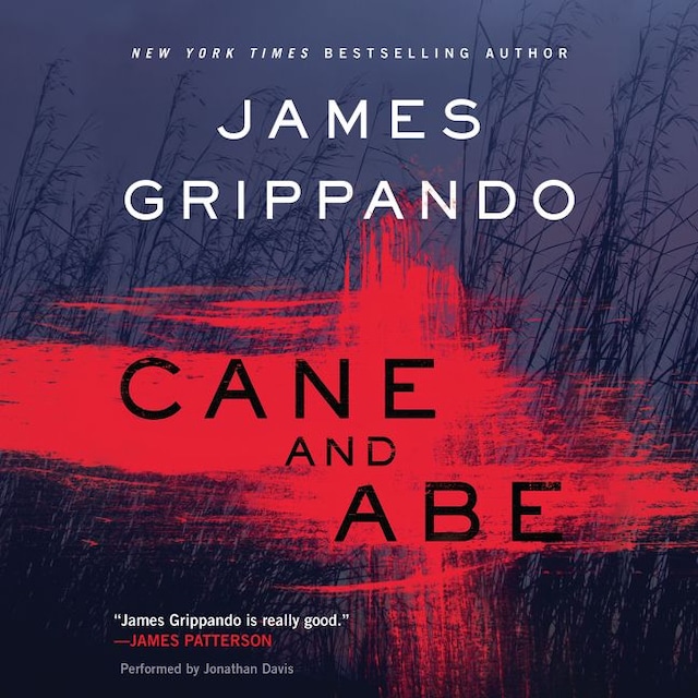 Book cover for Cane and Abe