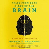 Tales from Both Sides of the Brain