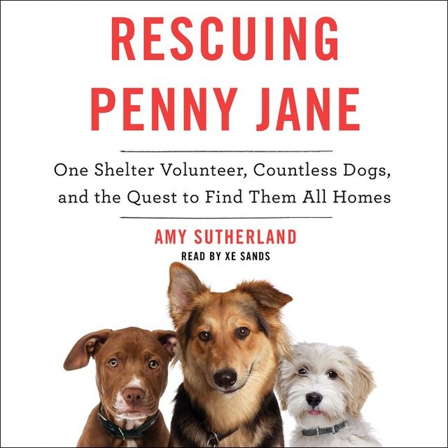 Book cover for Rescuing Penny Jane