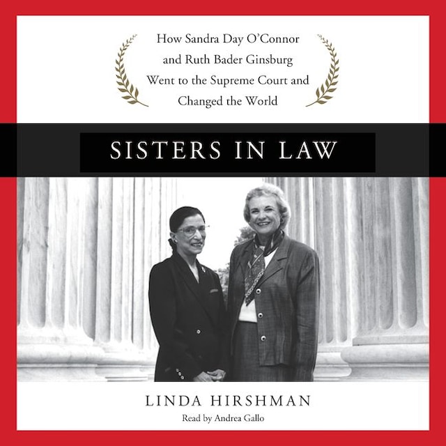 Portada de libro para Sisters in Law