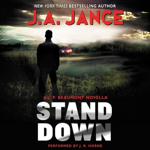 Buchcover für Stand Down
