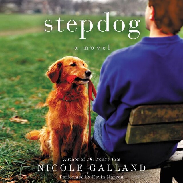 Book cover for Stepdog