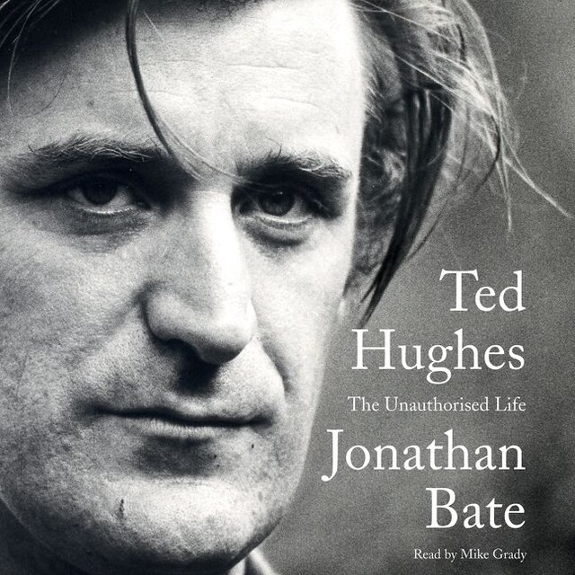 Book cover for Ted Hughes