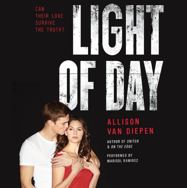 Book cover for Light of Day