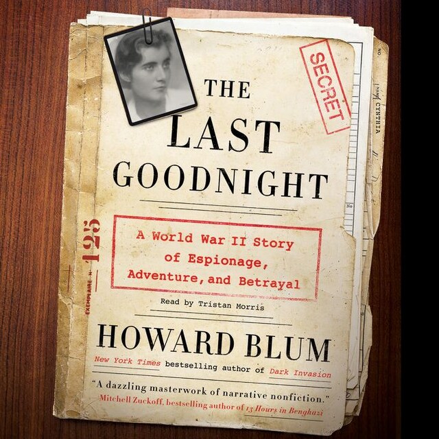 Book cover for The Last Goodnight