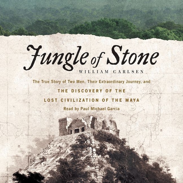 Book cover for Jungle of Stone