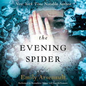 The Evening Spider bookCoverFor