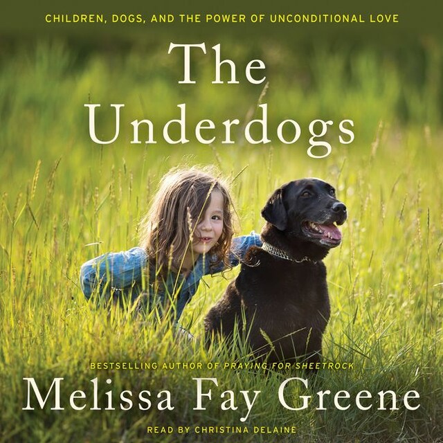 Book cover for The Underdogs