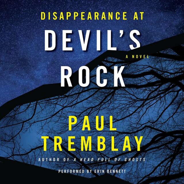 Book cover for Disappearance at Devil's Rock