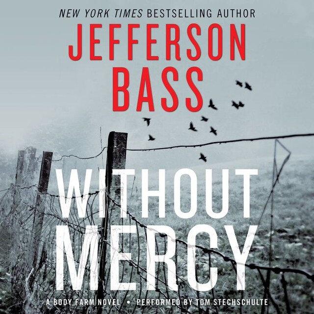 Couverture de livre pour Without Mercy