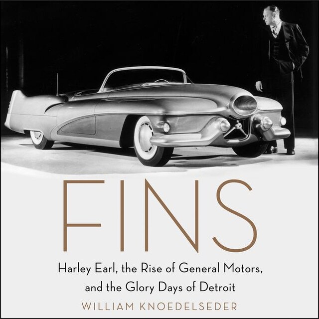 Book cover for Fins