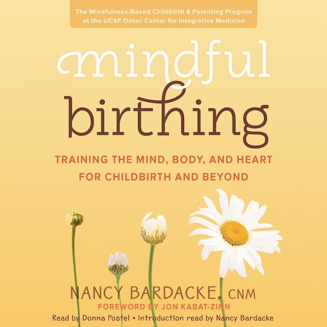 Kirjankansi teokselle Mindful Birthing