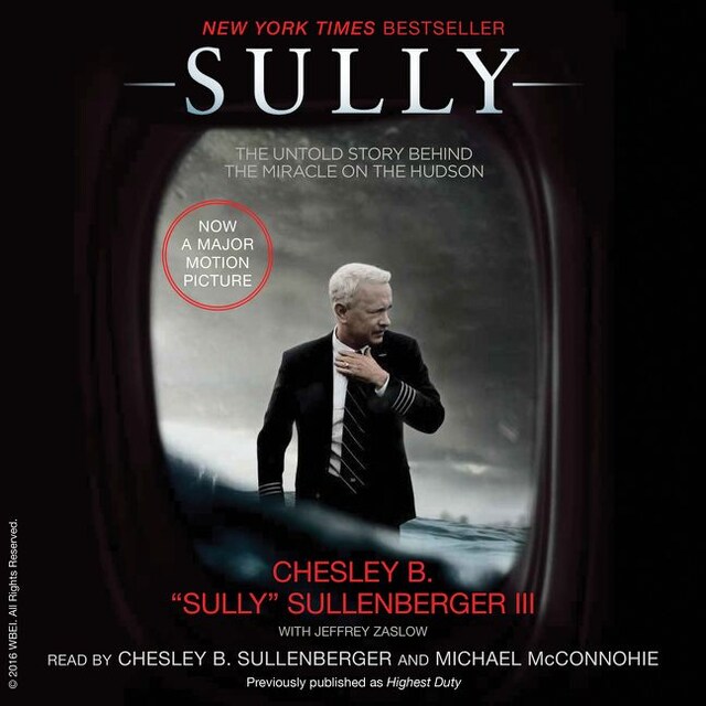 Portada de libro para Sully