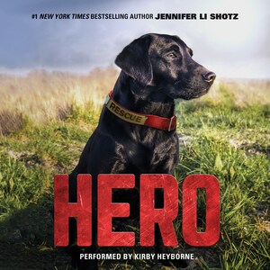 Hero bookCoverFor