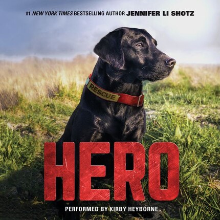Hero bookCoverFor