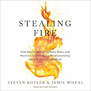 Stealing Fire bookCoverFor
