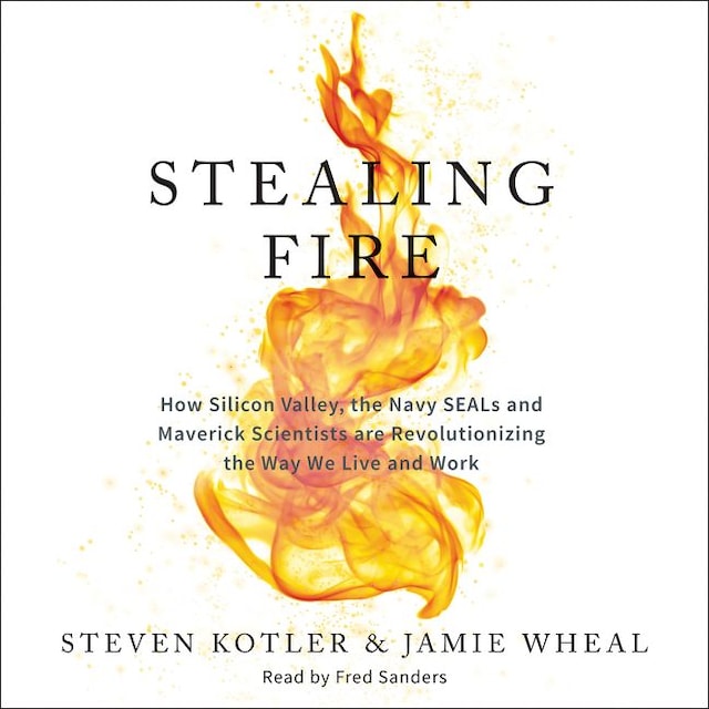 Buchcover für Stealing Fire