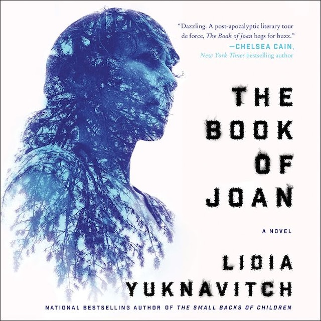 Book cover for The Book of Joan
