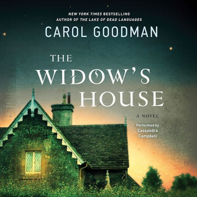 Book cover for The Widow's House