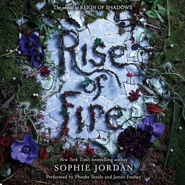 Buchcover für Rise of Fire