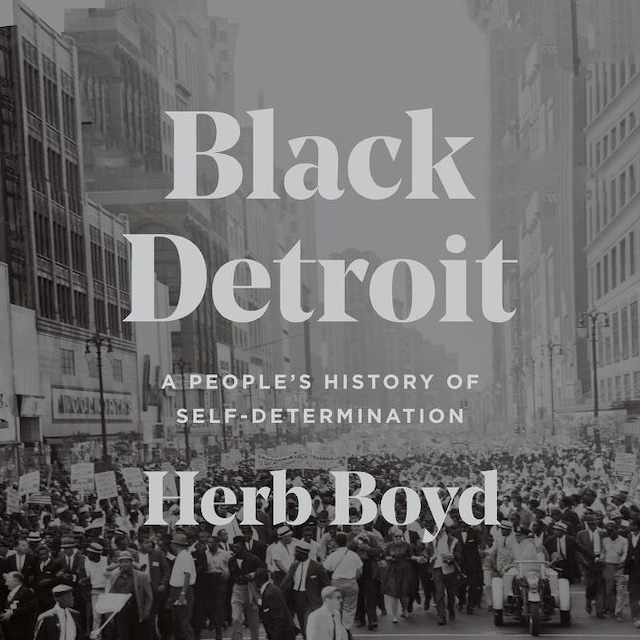 Book cover for Black Detroit