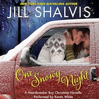 One Snowy Night