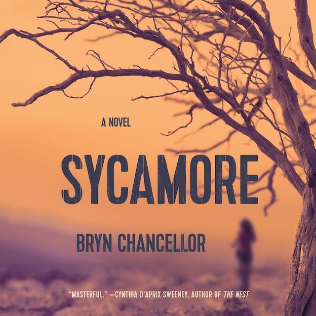 Book cover for Sycamore