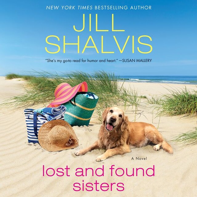 Book cover for Lost and Found Sisters