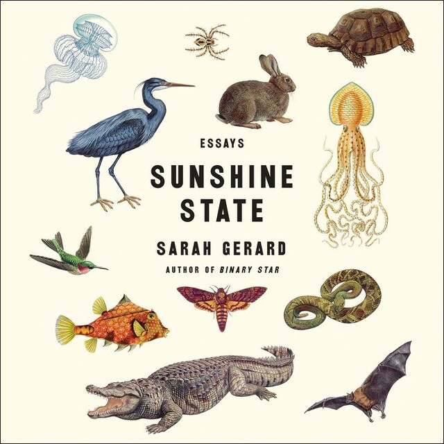 Book cover for Sunshine State