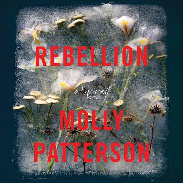 Buchcover für Rebellion