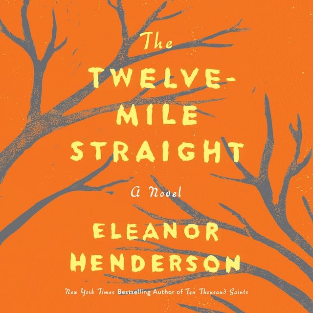 Book cover for The Twelve-Mile Straight