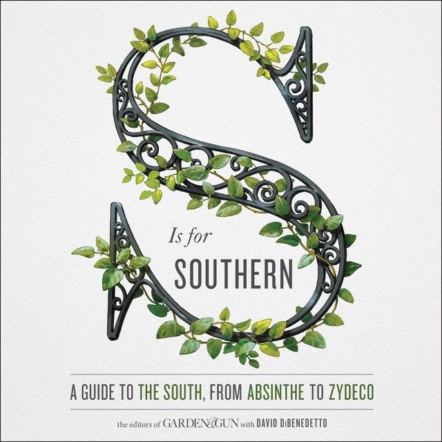 Book cover for S Is for Southern