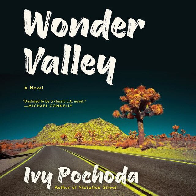 Buchcover für Wonder Valley