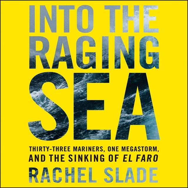 Book cover for Into the Raging Sea